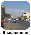 Shashemene